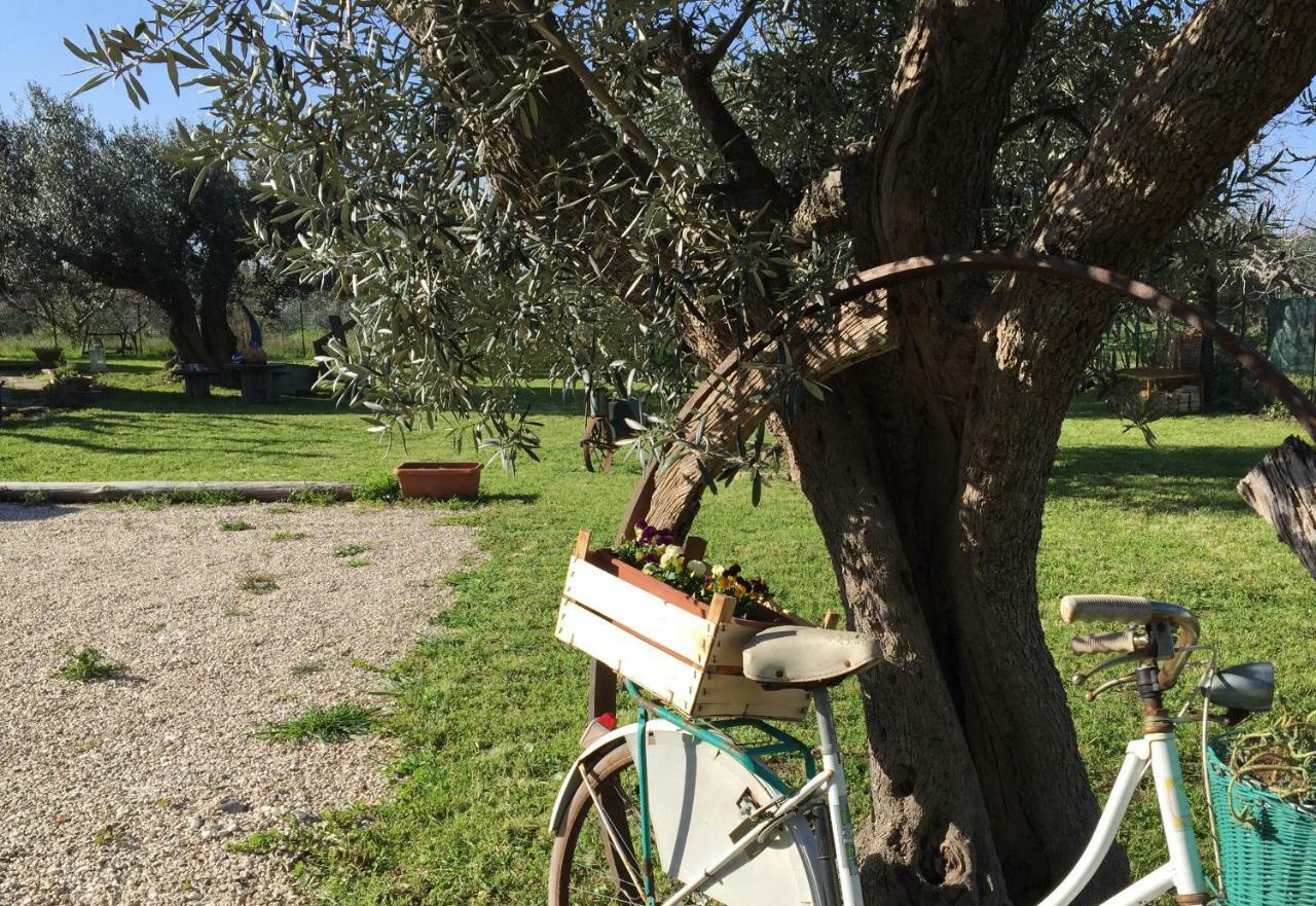 C'Era Una Volta Podere San Giovanni Fossacesia Buitenkant foto